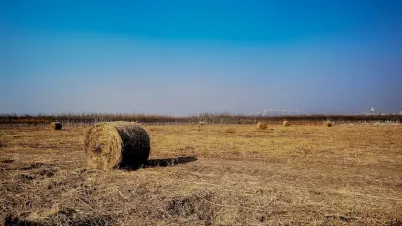 カカドゥ カジノ モバイルアプリ